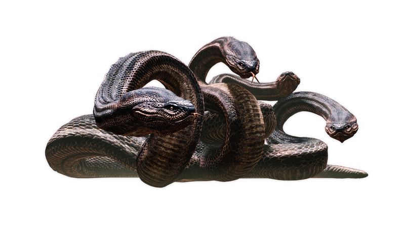 Illustration for article titled New Dragon's Dogma Screens Slither Out